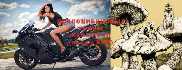 герыч Мегион