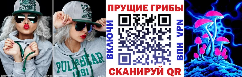 блэк спрут зеркало  купить  цена  Николаевск-на-Амуре  Галлюциногенные грибы Psilocybine cubensis 