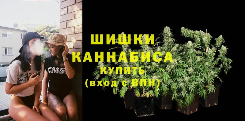 как найти наркотики  Николаевск-на-Амуре  Марихуана SATIVA & INDICA 